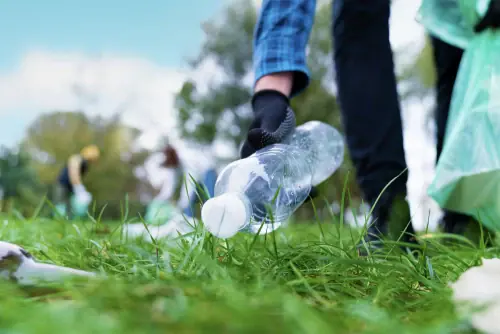 Sustainability
